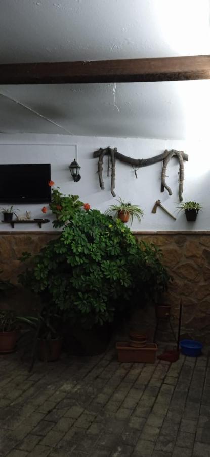 Maison d'hôtes Casa Cueva El Almendro à Pegalajar Extérieur photo